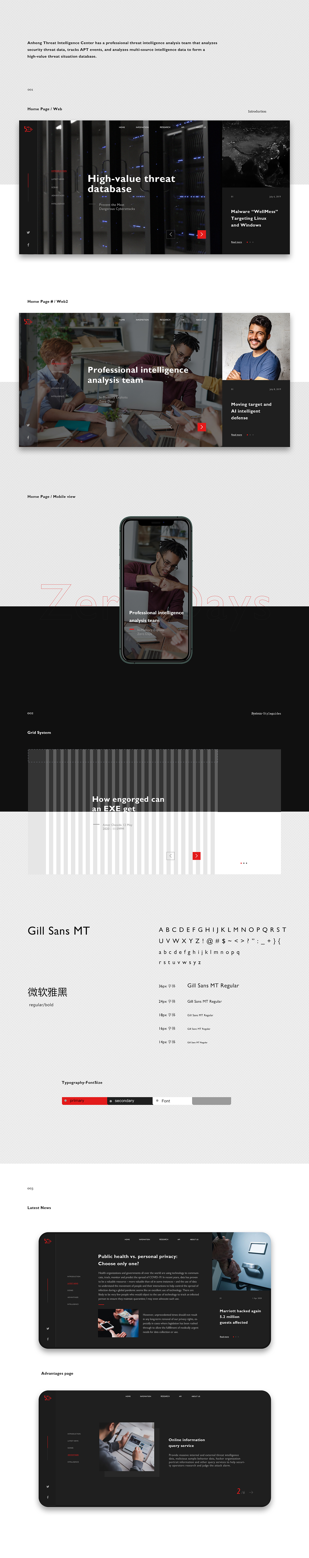 Hacker Website Concept