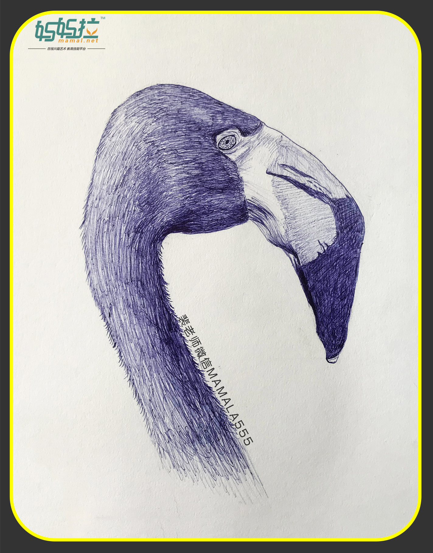 中央美院毕业裴俊飞老师妈妈拉艺术学院速写动物火烈鸟