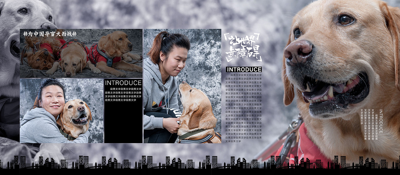 为中国导盲犬而战