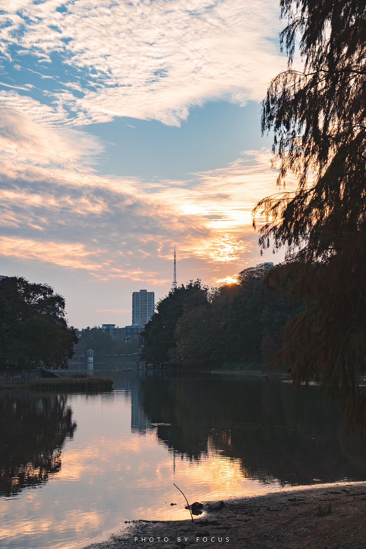 在人间收集黄昏 |落羽杉（图ZMzI3MzY3OTk2） - 风光摄影 - 站酷设计师霍克斯Focus原创素材 - 站酷ZCOOL