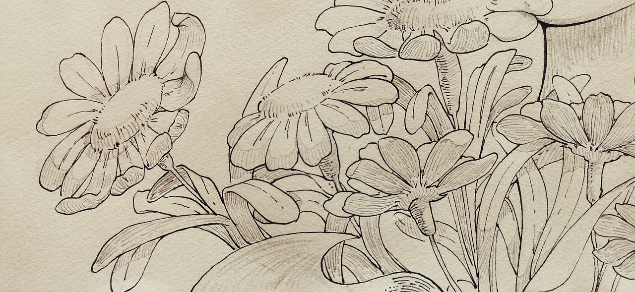 夏花与少女（图ZMjExNTE4NDg0） - 创作习作 - 站酷设计师周哒哒原创素材 - 站酷ZCOOL