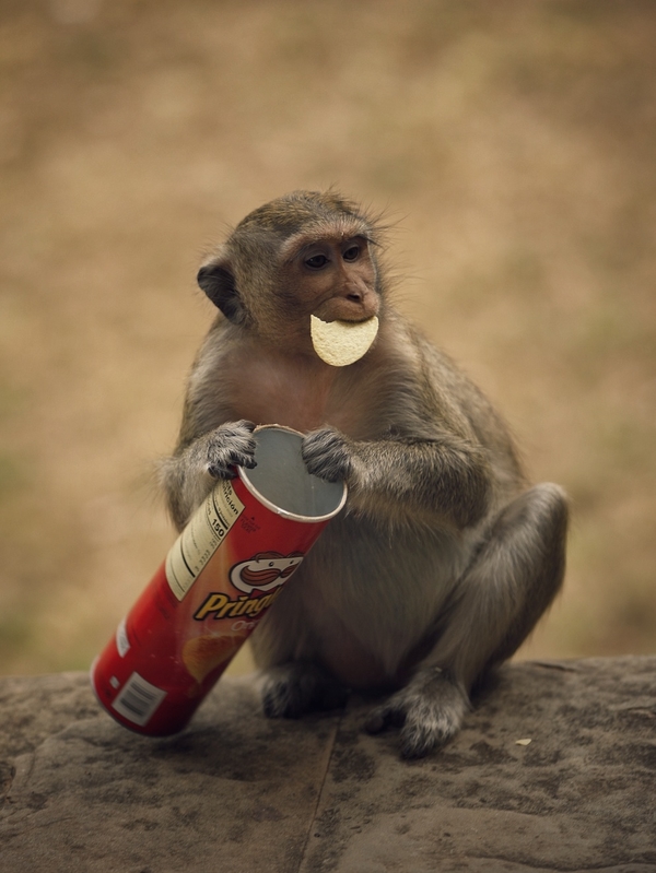 刁涵的個(gè)人主頁(yè)（背景預(yù)覽） - 主頁(yè)背景設(shè)置 - 站酷設(shè)計(jì)師刁涵原創(chuàng)素材 - 站酷ZCOOL