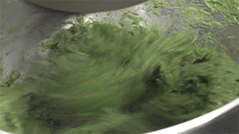 抹茶软欧的制作教程烘焙小教程（图ZMTE5NDY2OTUy） - 短片 - 站酷设计师芒果树原创素材 - 站酷ZCOOL