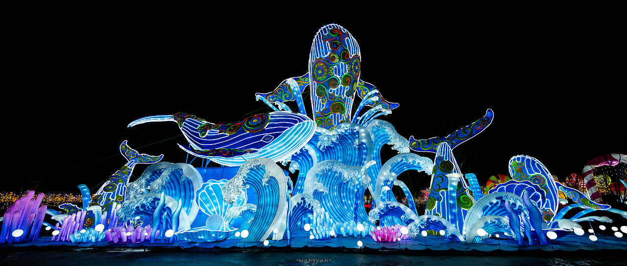 毕竟几人真得鹿 不知终日梦为鱼🏮