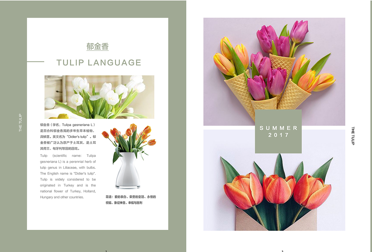 花店宣传画册