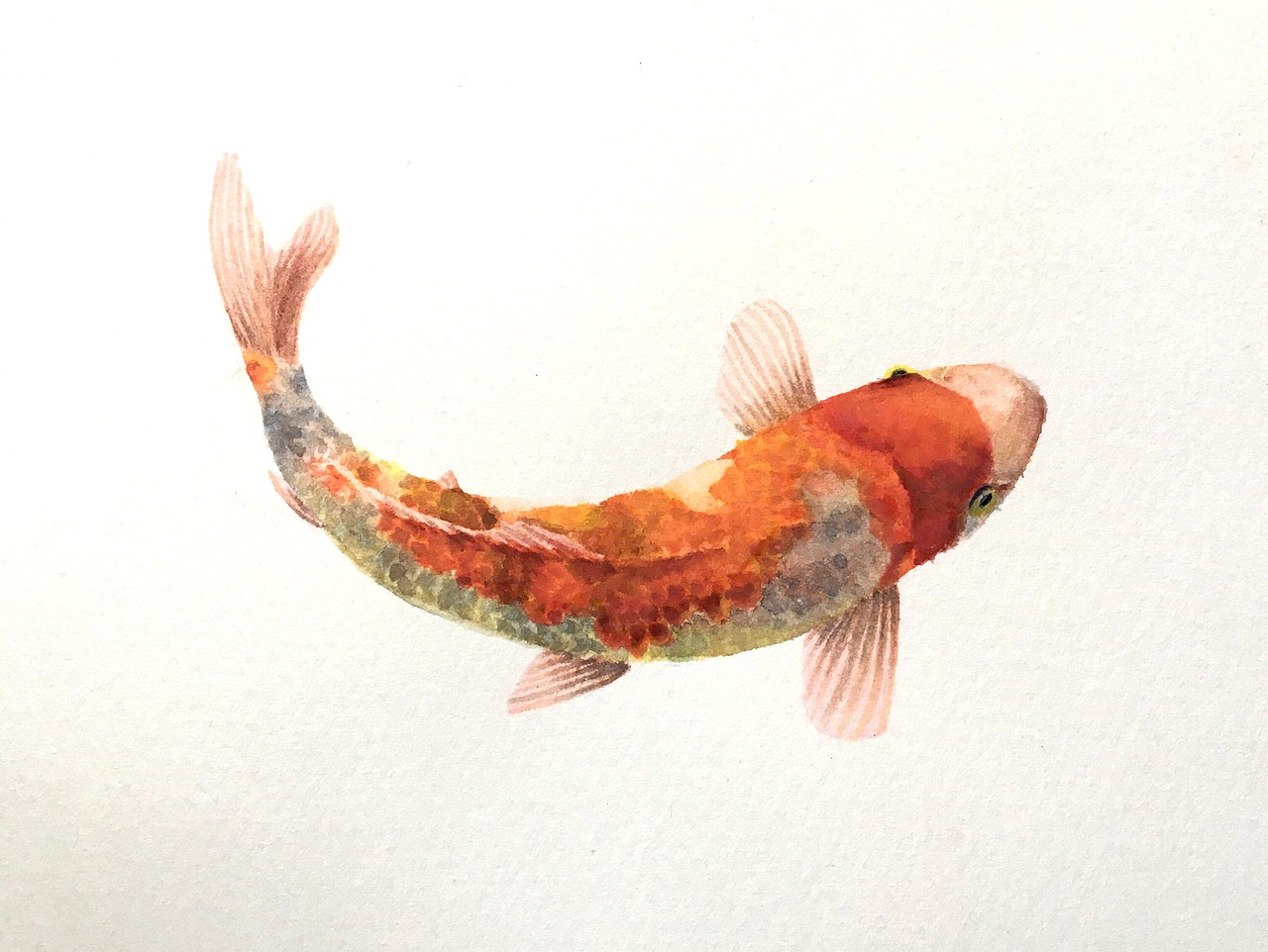 水彩|纯艺术|绘画|林志豪水彩_原创作品-站酷zcool