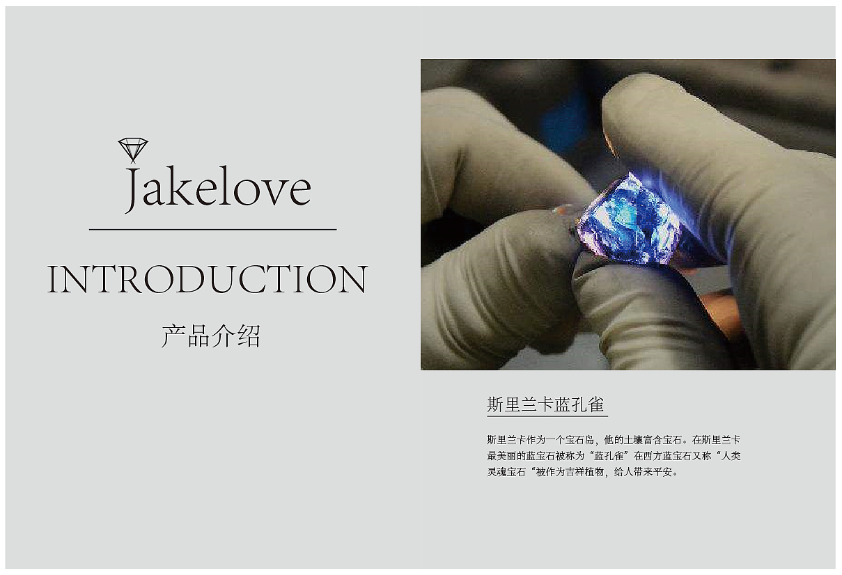 画册（图ZMjIzNTM2NDIw） - 书籍/画册 - 站酷设计师周周周大人原创素材 - 站酷ZCOOL