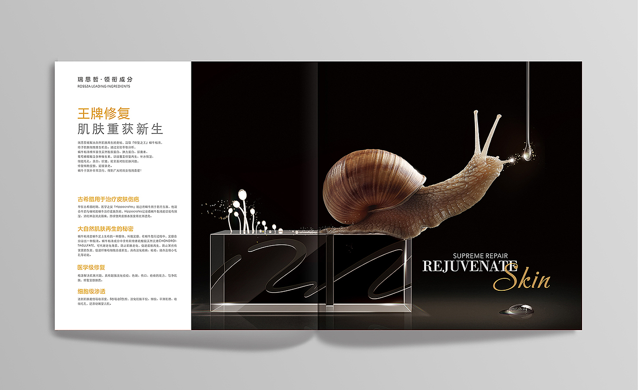 宣传海报、画册、折页设计