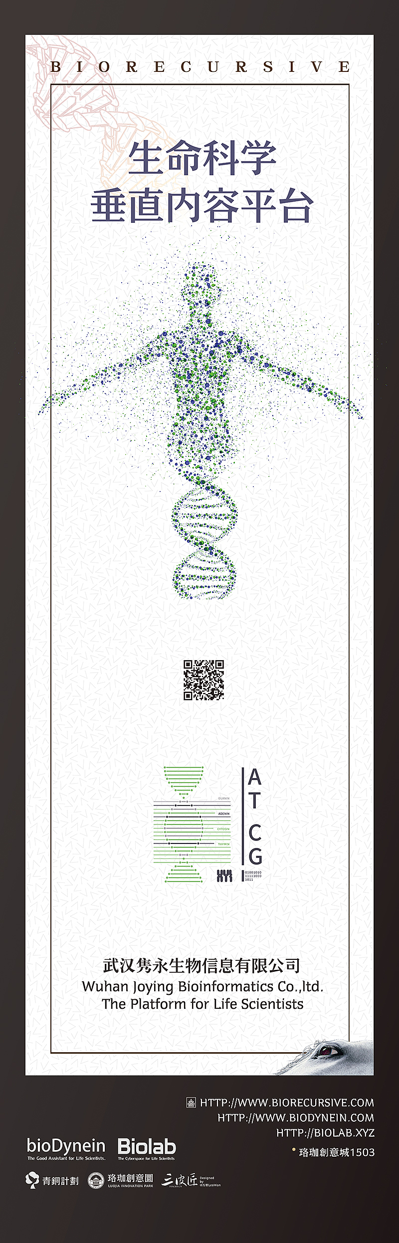 STAGER x JOYING BIORECURSIVE 展板设计（图ZNDc3MjEzNTI=） - 海报 - 站酷设计师WANART原创素材 - 站酷ZCOOL