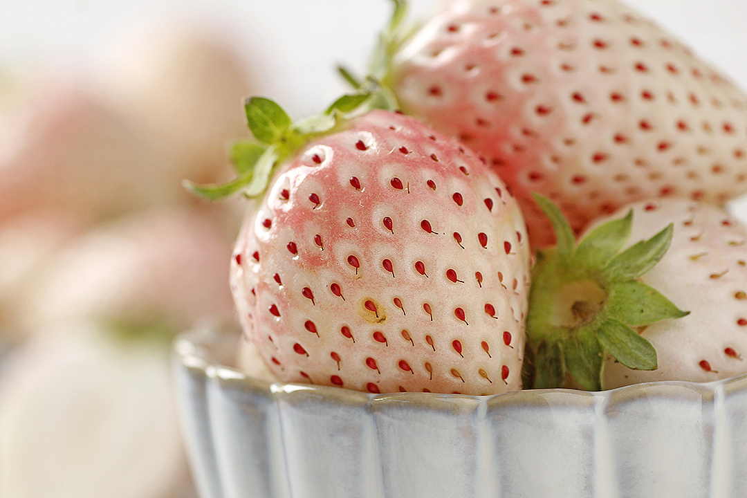 淡雪白草莓部分客片丨飞鸟电商—专注生鲜电商拍摄设计