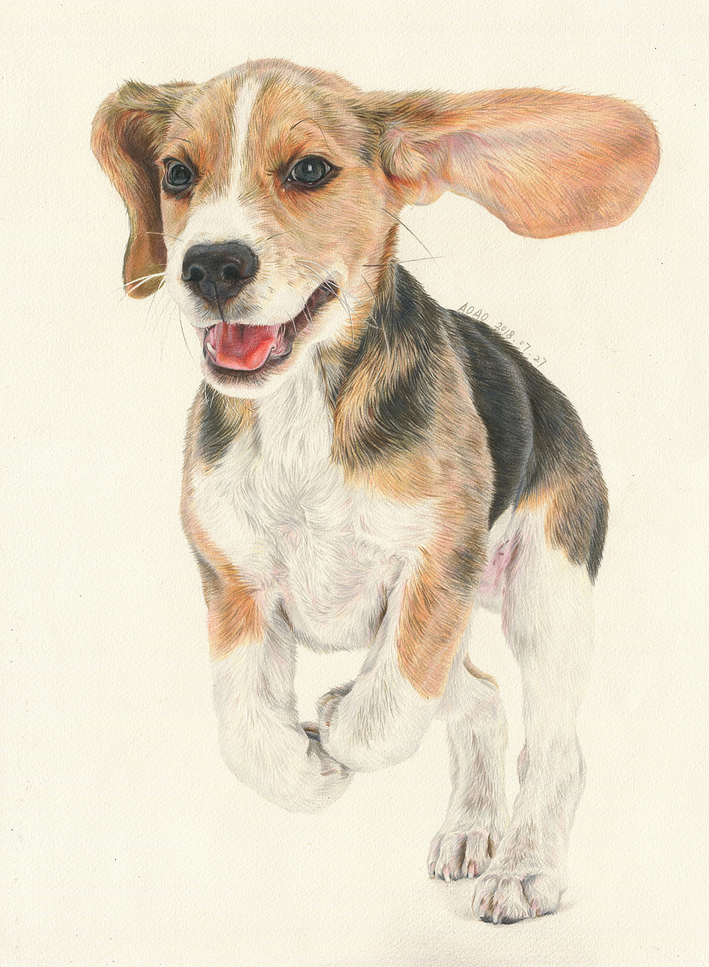 30张汪星人彩铅画阿沁作品