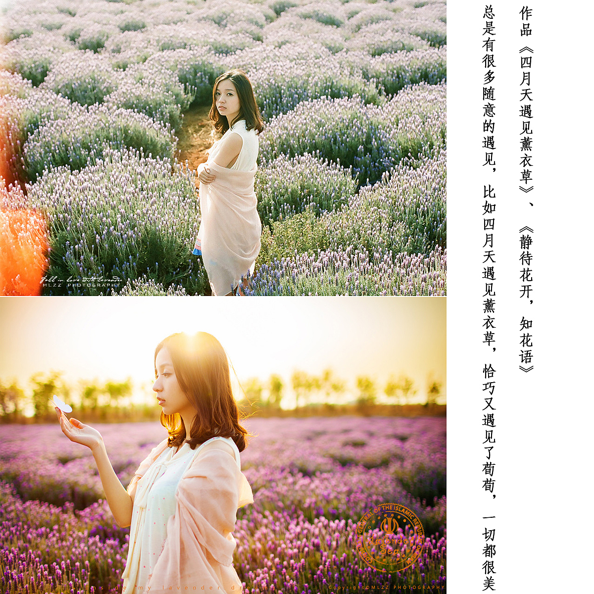 拾光2013影像轨迹