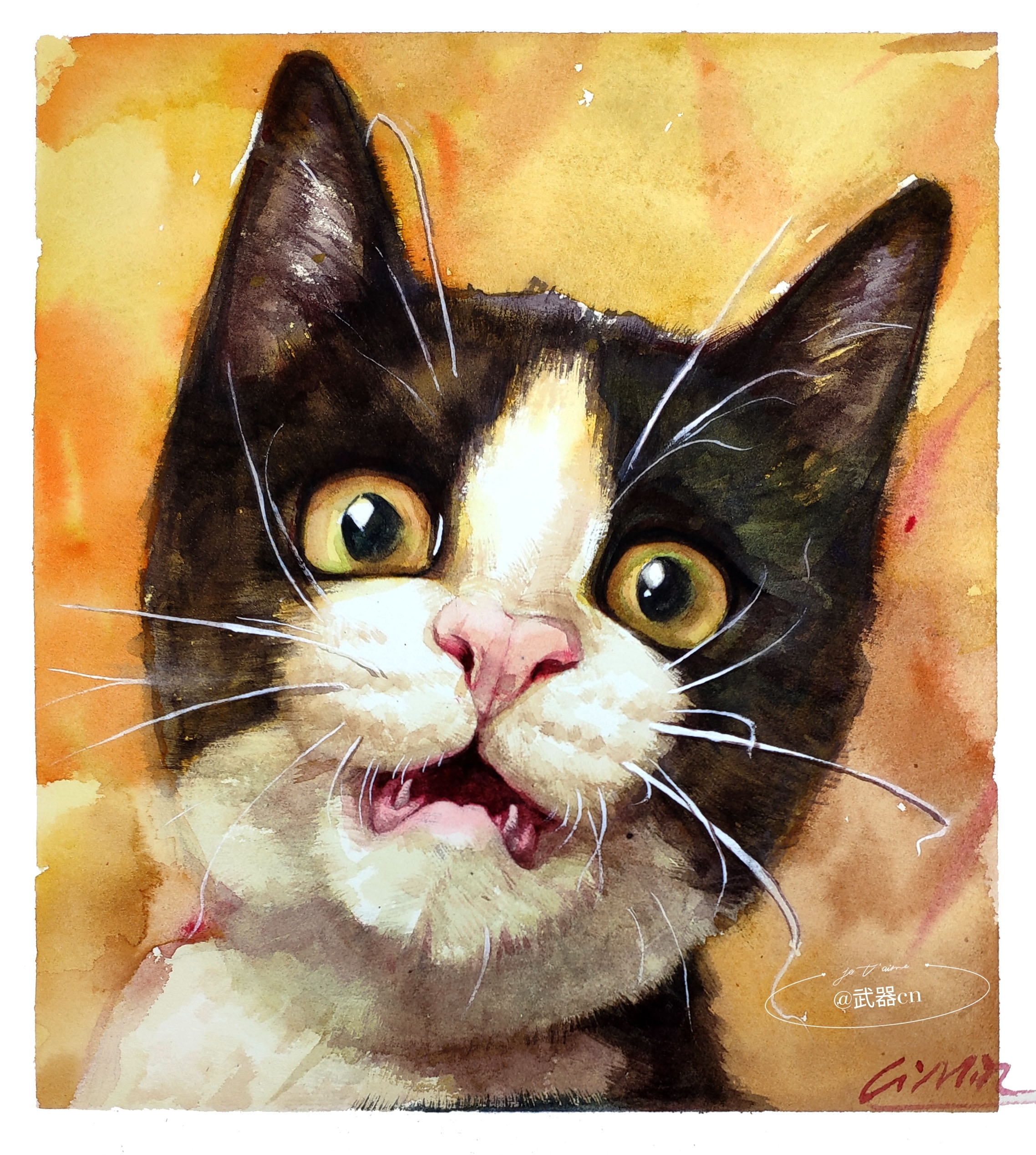 猫咪水彩绘|插画|插画习作|无期cm - 原创作品 - 站酷 (zcool)