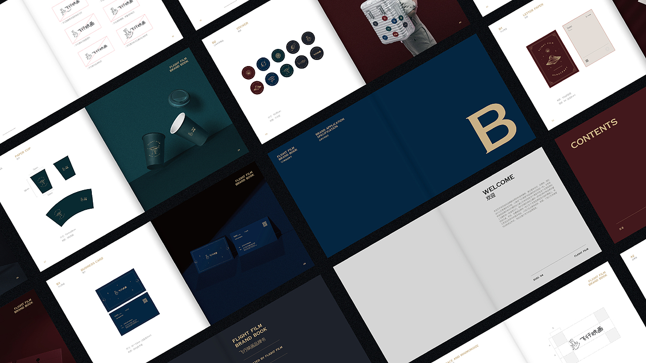 vis -飞行映画 | flight film - 品牌升级