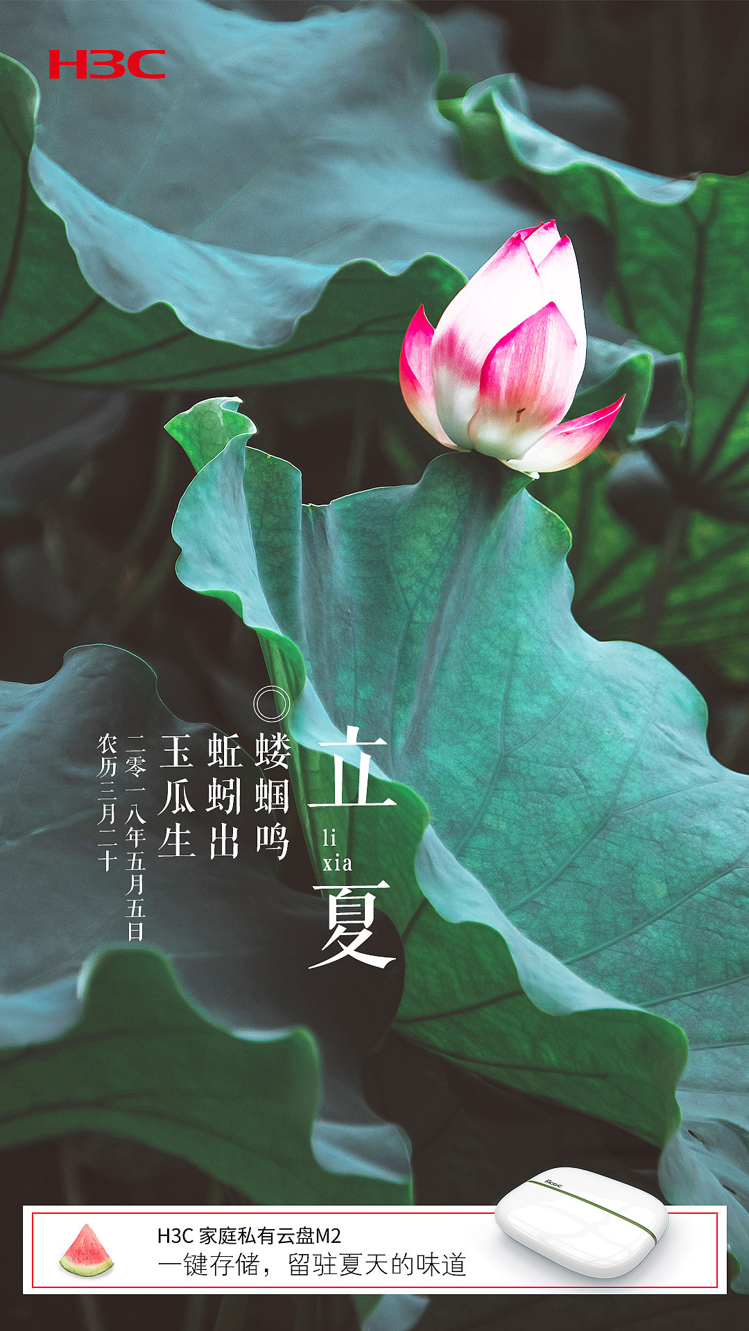 二十四节气（图ZMTEzOTYzNzI4） - 海报 - 站酷设计师馬小跳原创素材 - 站酷ZCOOL