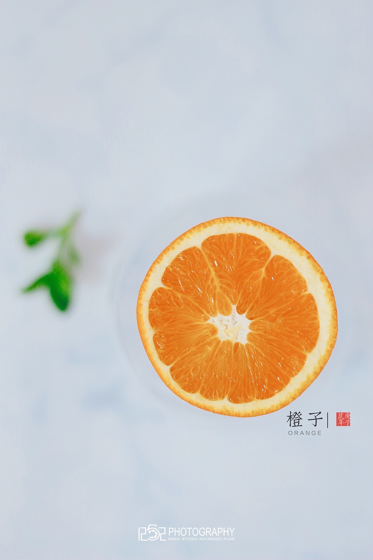 1252第87轮约拍#橙色#