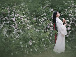 离兮