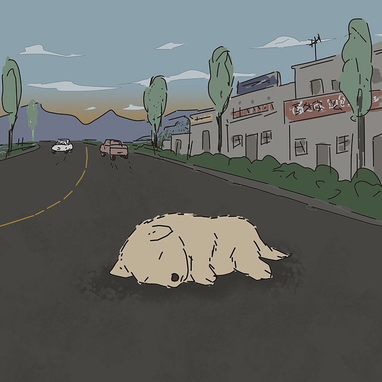 在回家的路上,我看见路中央有一只小狗死了,它只有几个月大样子,样子