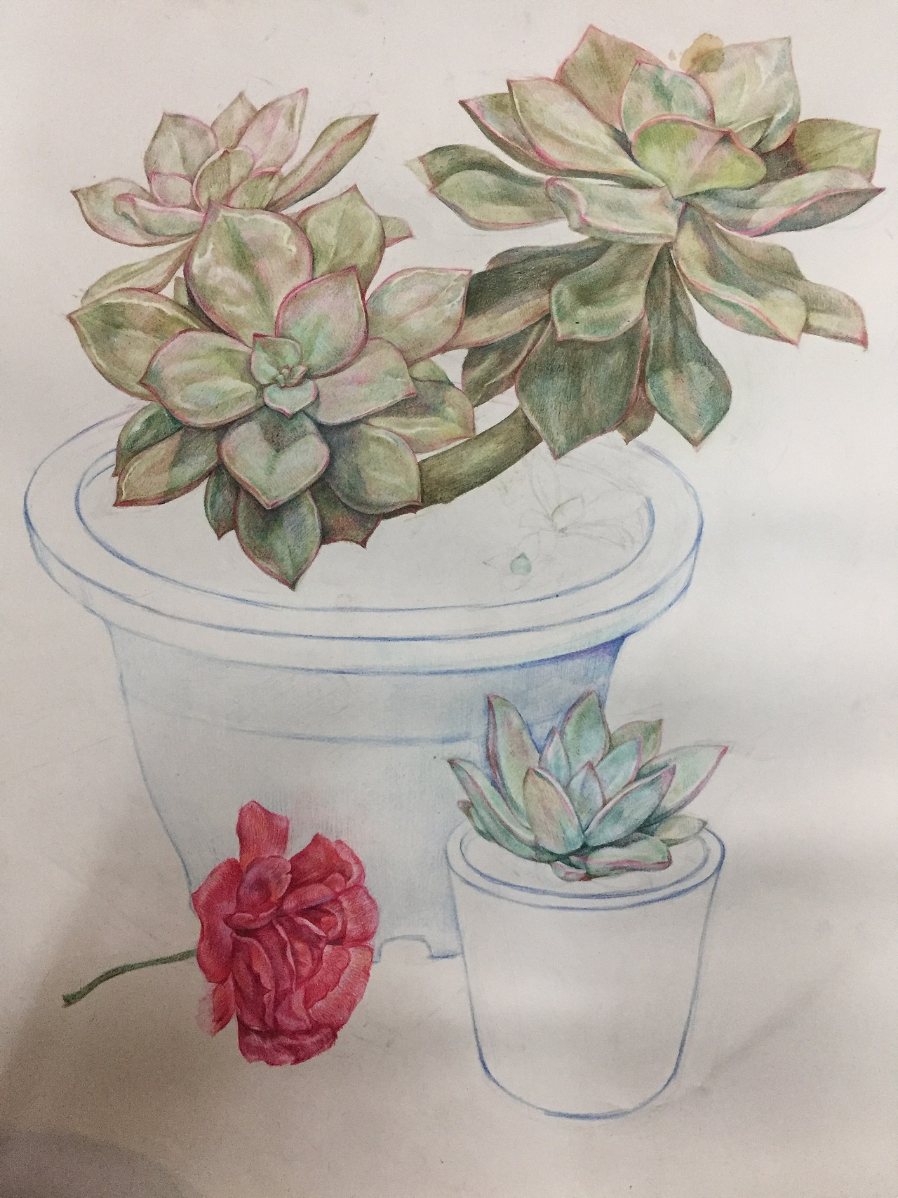 我要吃土了……