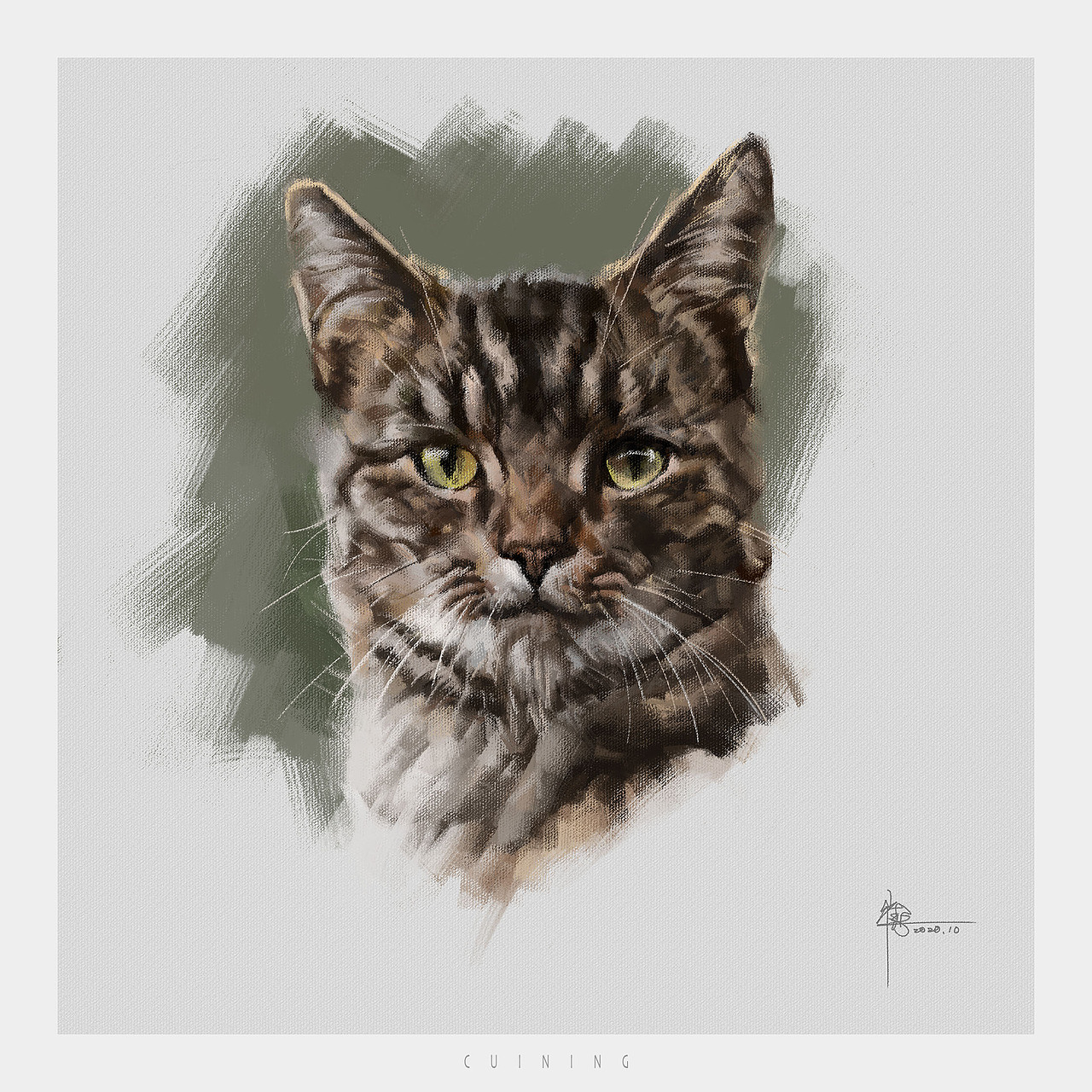 狸猫|插画|创作习作|cuin62_原创作品-站酷zcool