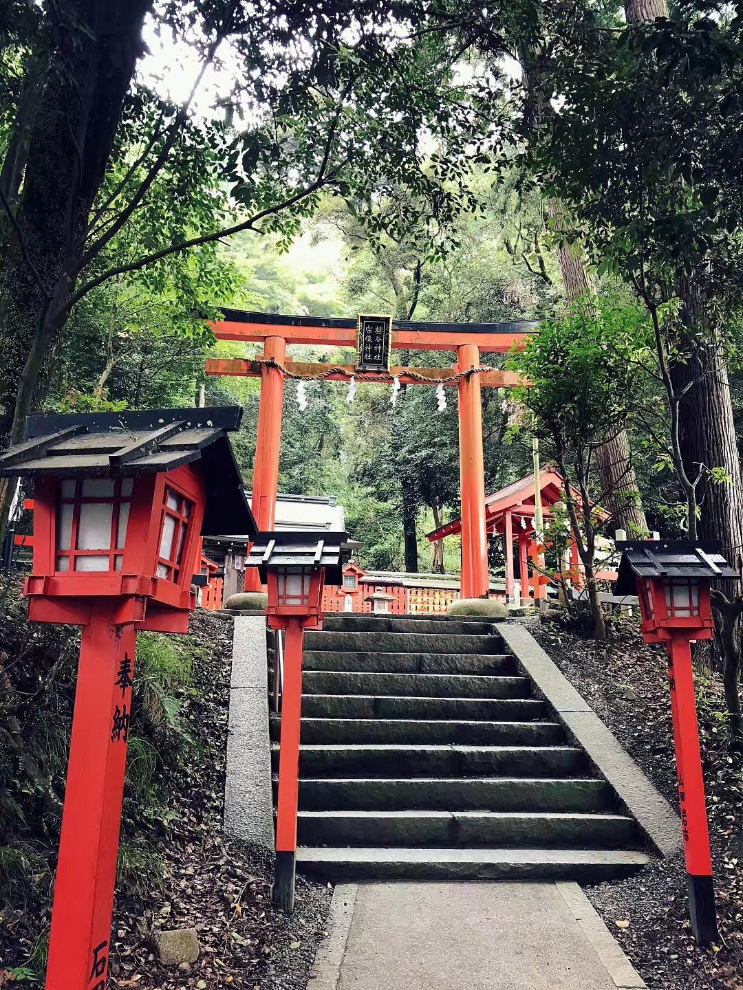 日本京都一周游