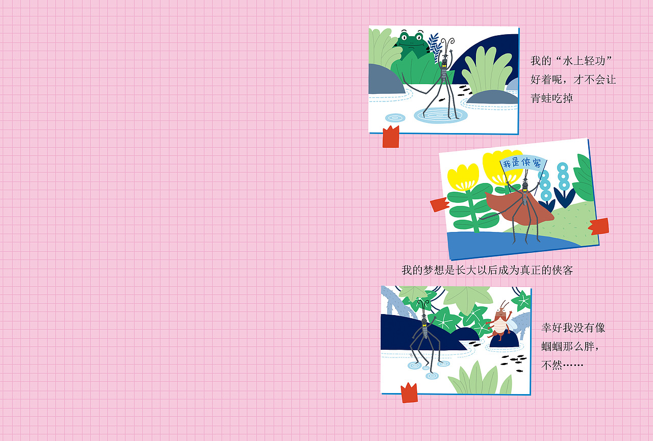 昆虫科普绘本——《水黾的日记》