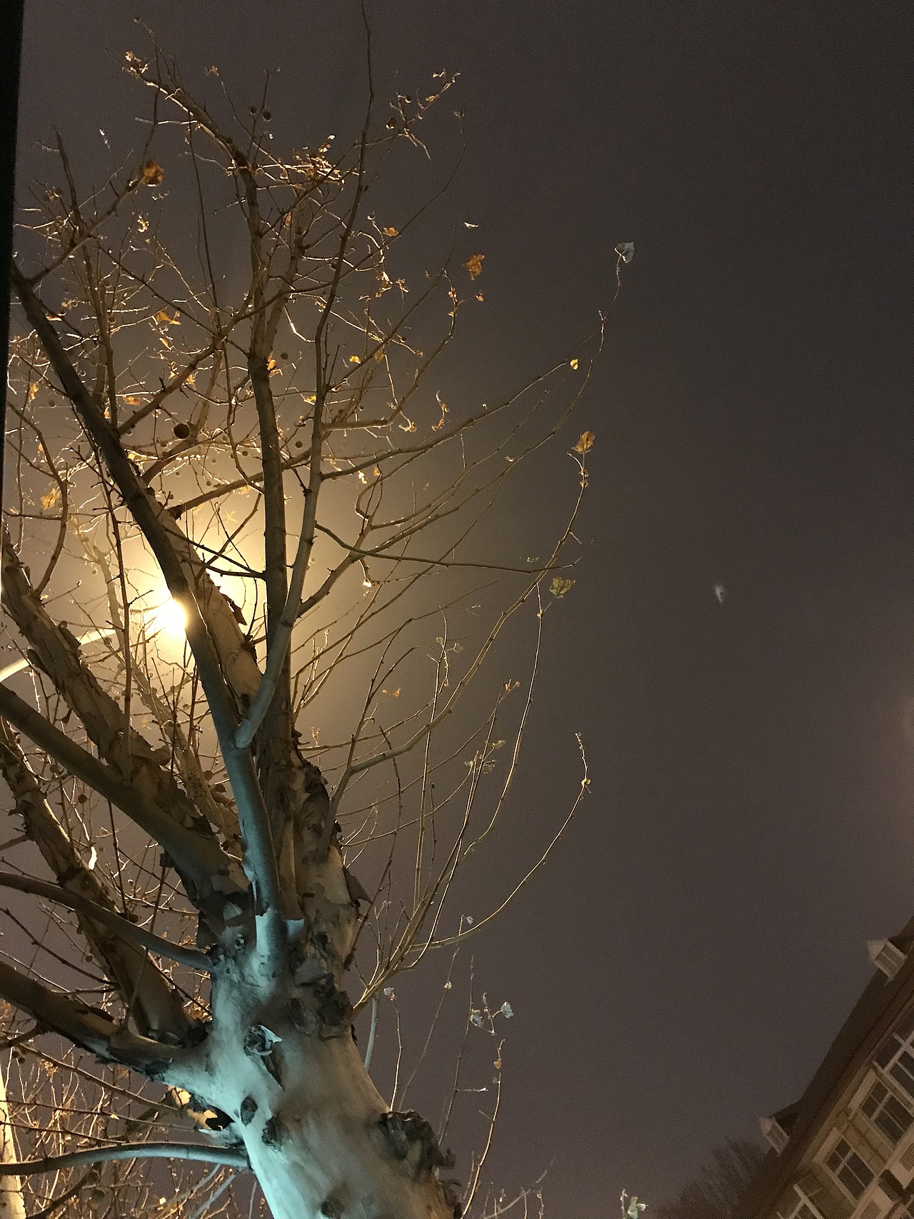 拍摄作品（图ZMTMzMDQ0MjA0） - 环境/建筑摄影 - 站酷设计师柒玥的西瓜原创素材 - 站酷ZCOOL