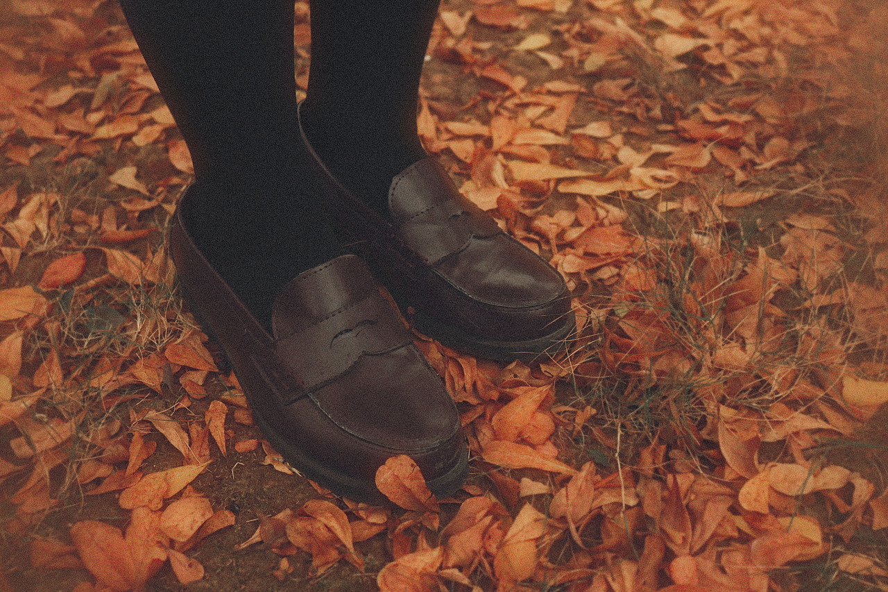 落叶与秋（图ZMTgxNDgzOTE2） - 人像摄影 - 站酷设计师夏河马原创素材 - 站酷ZCOOL