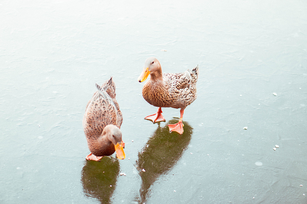 只是记录一下生活。（图ZMzkxMTQyNDg=） - 其他摄影 - 站酷设计师懂小白原创素材 - 站酷ZCOOL