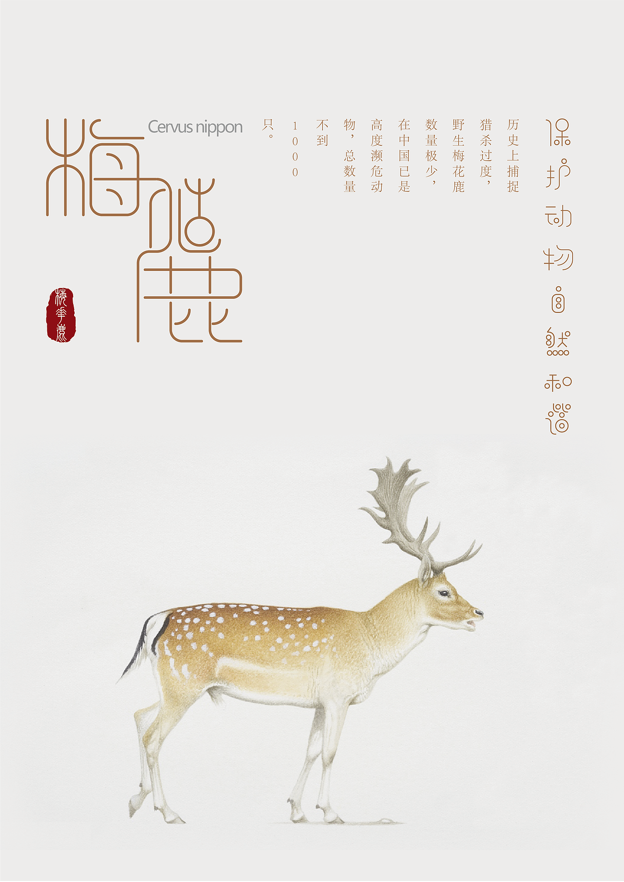 丹顶鹤梅花鹿白鳍豚海报