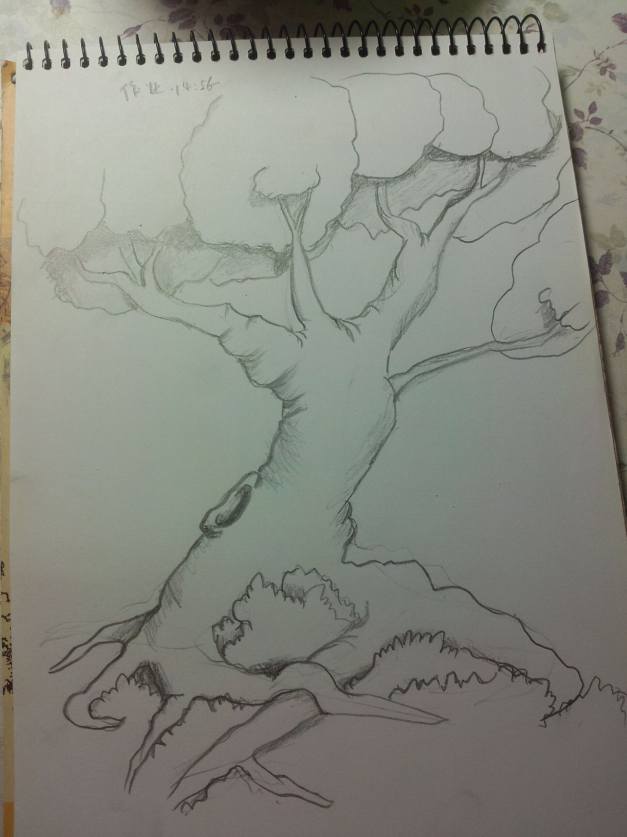 第二十一课 大树