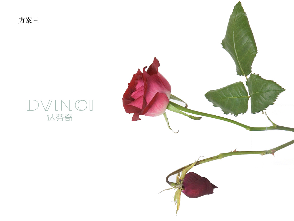 达芬奇花店品牌Logo平面设计（图ZMTc0MTcwMzAw） - Logo - 站酷设计师jemmajemmamin原创素材 - 站酷ZCOOL