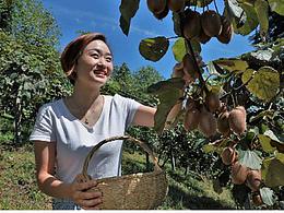 獼猴桃詳情頁(yè)