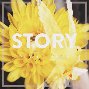 shuimiao的个人主页（背景预览） - 主页背景设置 - 站酷设计师shuimiao原创素材 - 站酷ZCOOL