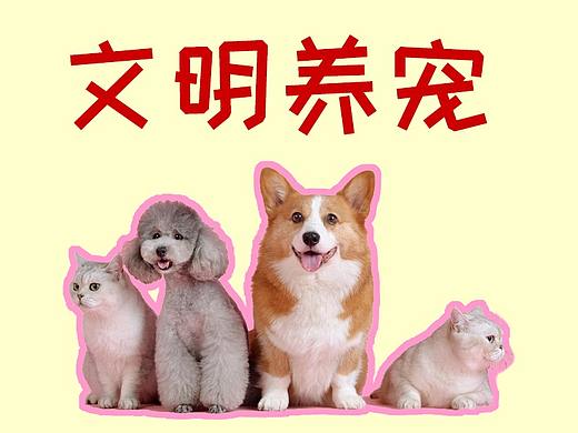 文明养宠海报（个人主页-ZNjA4ODg2NDA=） - 其他平面 - 站酷设计师阿灼Zzz原创素材 - 站酷ZCOOL