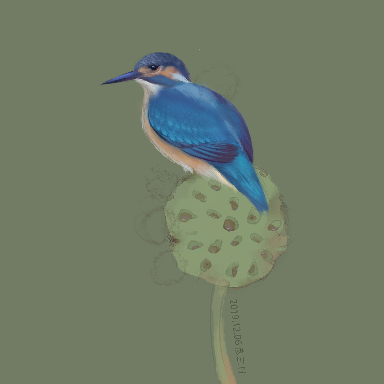 翠鸟练习|插画|创作习作|彦三日_原创作品-站酷zcool