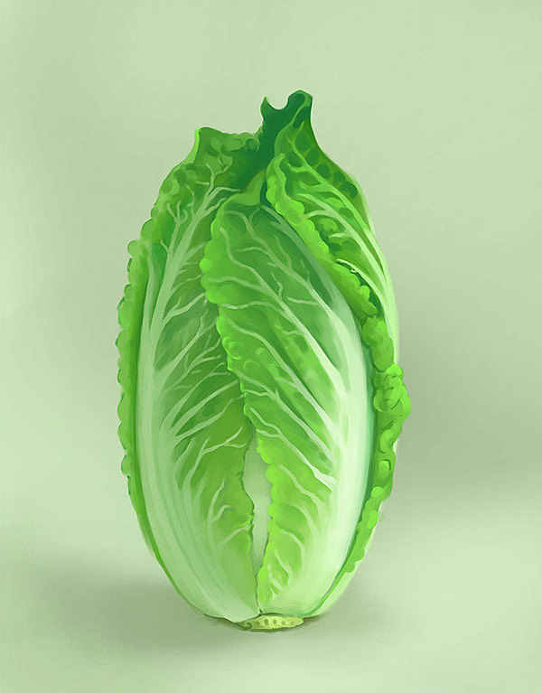 闲来无事-手绘大白菜（图ZMTIxNTQ3NDY0） - 创作习作 - 站酷设计师芳芳菲菲原创素材 - 站酷ZCOOL