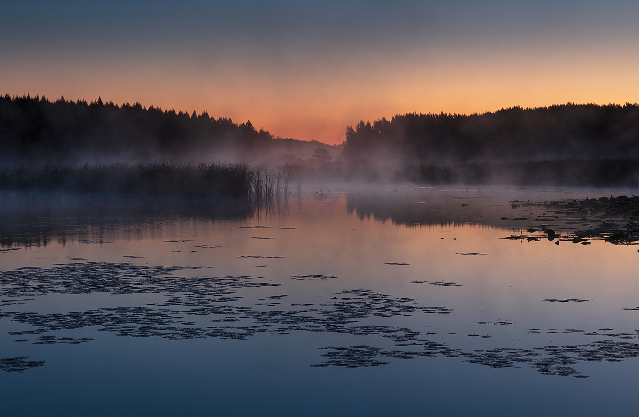湖面的雾气 镜头怎么都拍不下来当时的那种心情