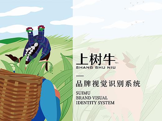 毕业设计牛肉干系列包装
