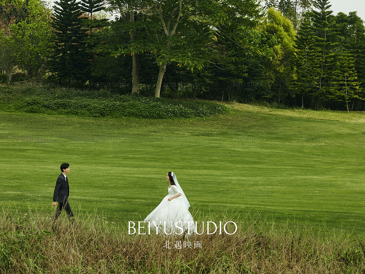 夏日林初,宠你笑靥如花