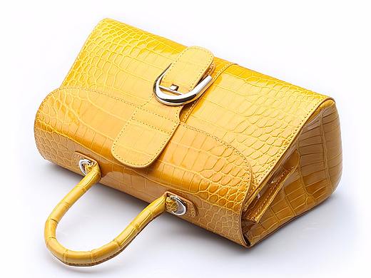 鳄鱼皮包包拍摄