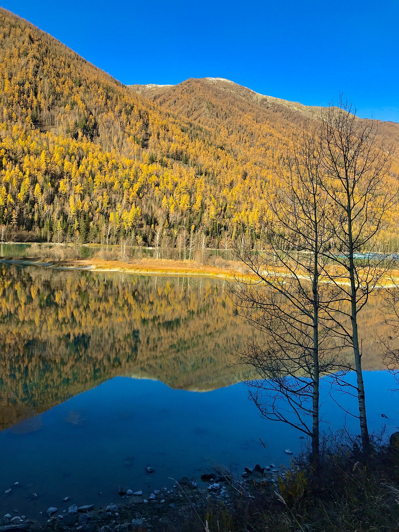 新疆?dāng)z影（圖ZMTgwNjk1OTA0） - 風(fēng)光攝影 - 站酷設(shè)計(jì)師玉翁原創(chuàng)素材 - 站酷ZCOOL