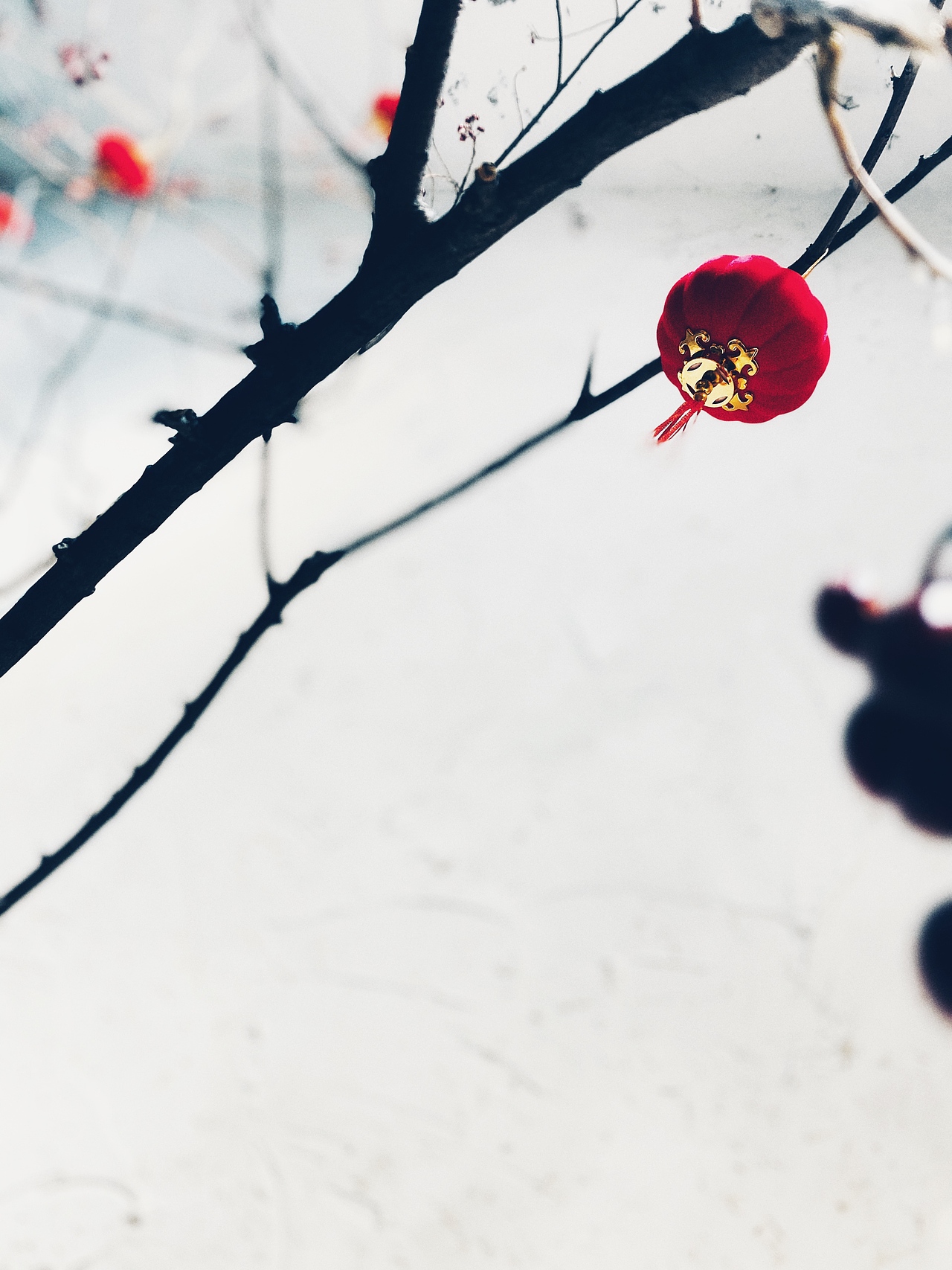 在橱窗里找寻“年味。”