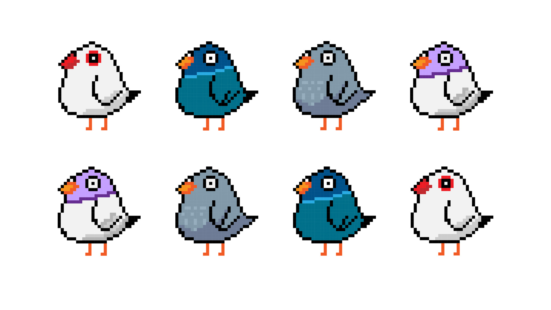 像鸡但是真的是鸽子!