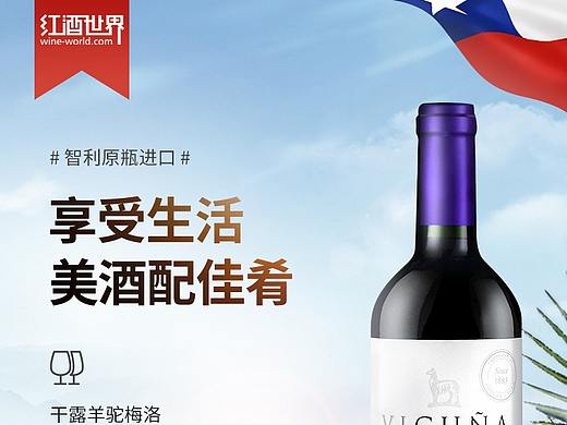 【详情页】干露羊驼梅洛红葡萄酒