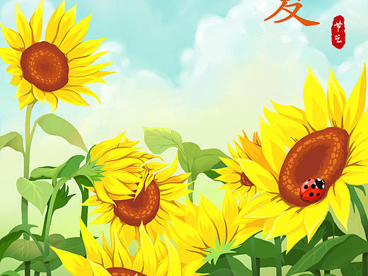 24节气之立夏