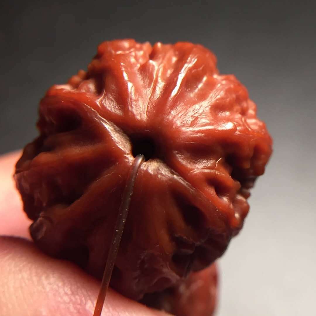 极品野生八棱小核桃手串——龙掌柜文玩