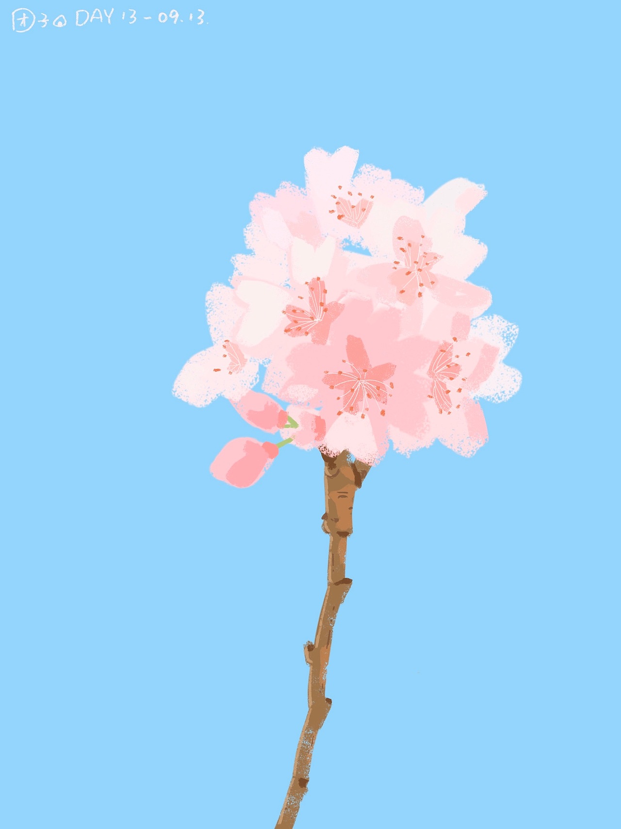 色彩班长打卡-合辑（图ZMzIyNTQ1NzE2） - 创作习作 - 站酷设计师在下团子原创素材 - 站酷ZCOOL