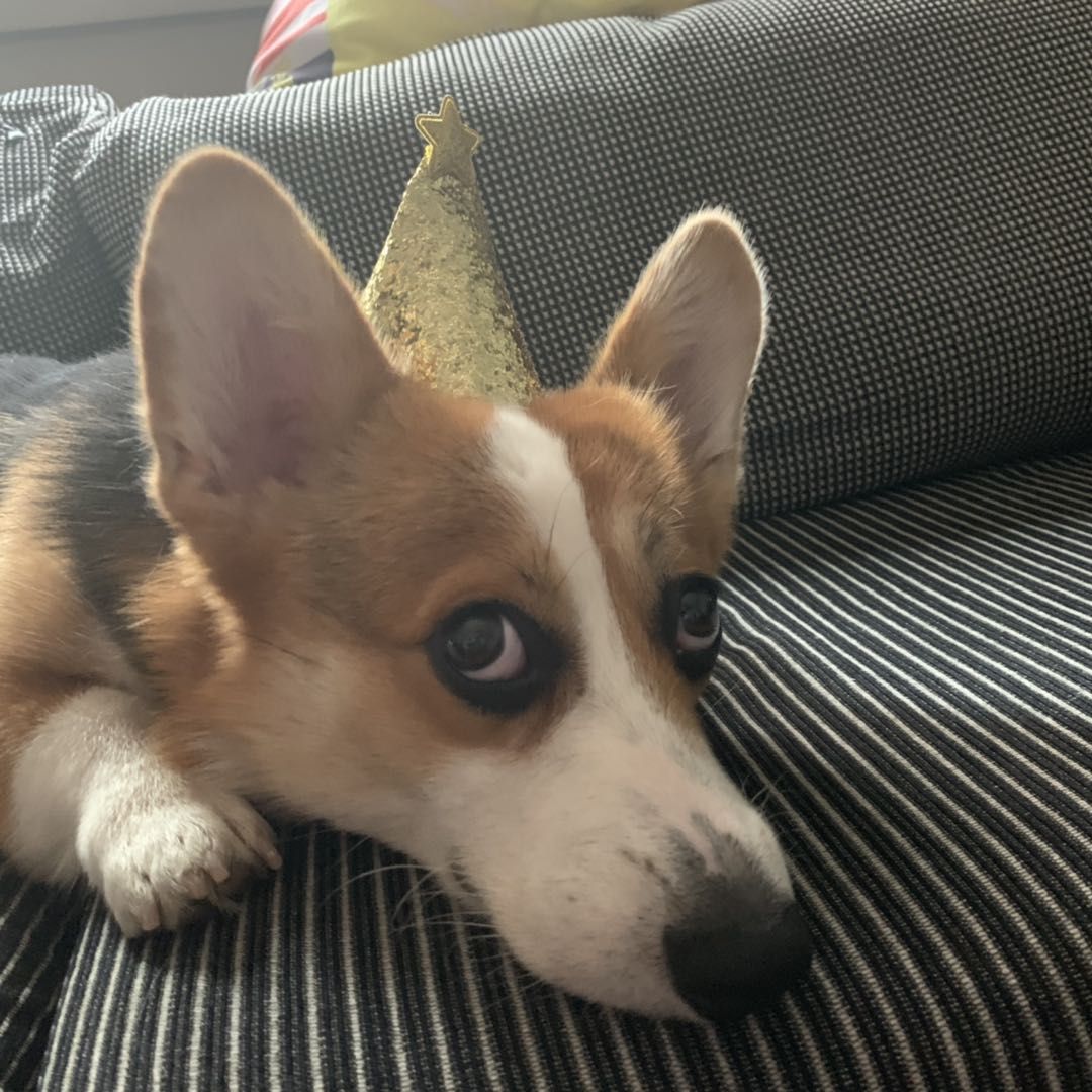 任和瑞的个人主页（背景预览） - 主页背景设置 - 站酷设计师任和瑞原创素材 - 站酷ZCOOL