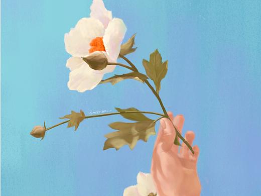 【procreate】小插图1